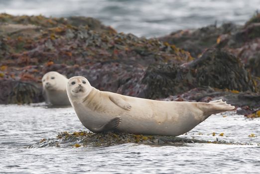 Private Snaefellsnes Peninsula Adventure: Tour from Reykjavik — photo 5