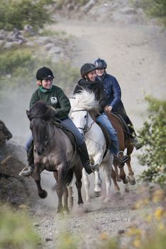 Viking Tour - For experienced riders — photo 7