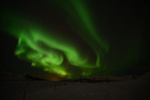 Private Northern Lights Tour from Reykjavik, With Photographs, and Hot Chocolate — photo 3
