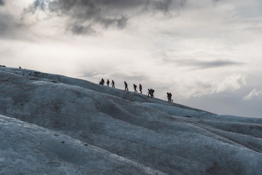 Glacier Encounter — photo 6
