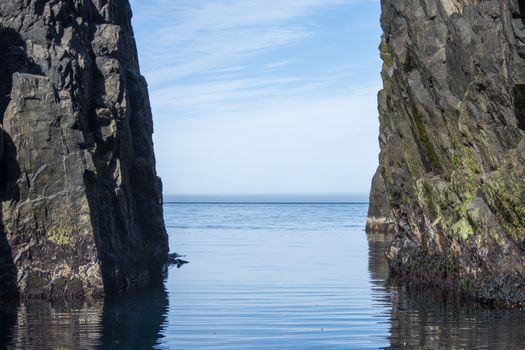 Puffin Quest — photo 24