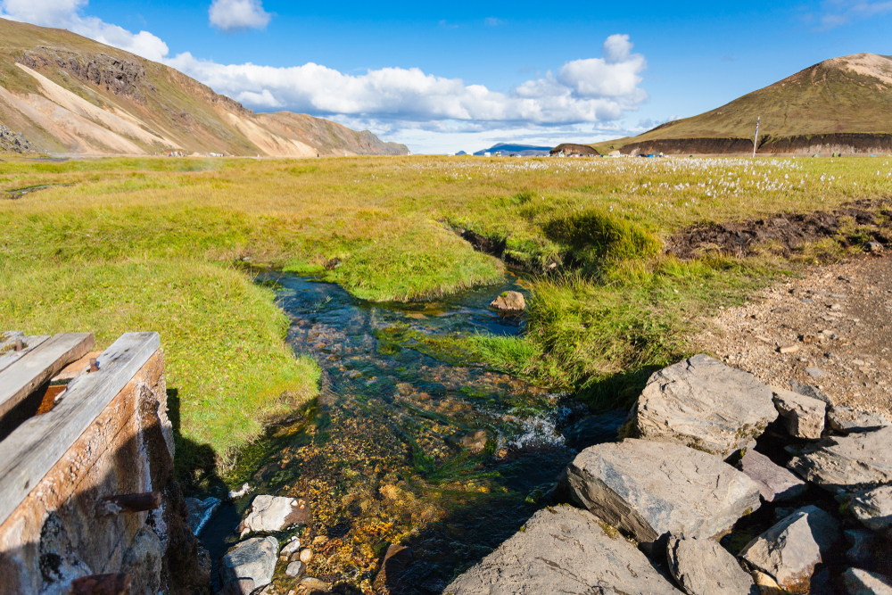 Landmannalaugar Highlands 4x4 Minibus Tour with Hot Spring Bath, photo 7 of 17