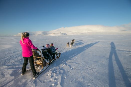 Dog Sledding — photo 2