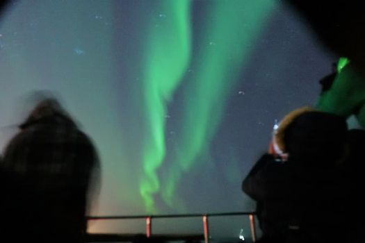 Northern Lights by Boat from Reykjavik — photo 5