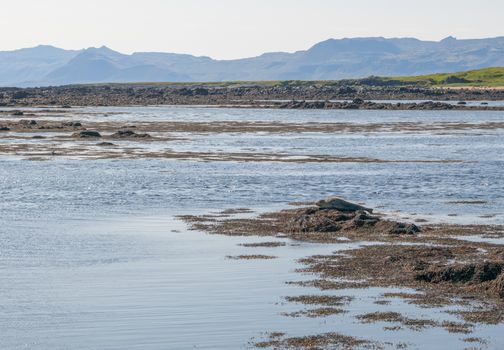Snæfellsnes Peninsula Tour from Grundarfjordur Port — photo 4