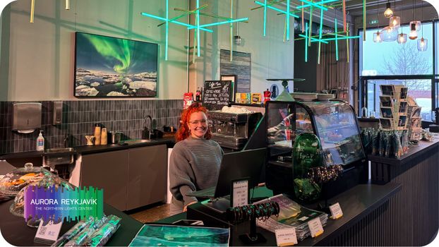 Aurora Reykjavík, The Northern Lights Center of Iceland - Museum Visit — photo 10
