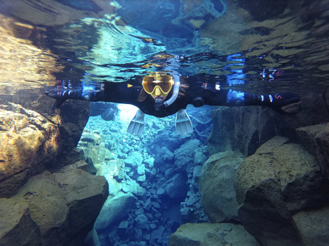 Snorkeling in Silfra -With Transfer from Reykjavík