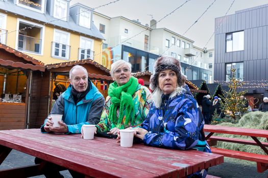 Private Icelandic Women Walking Tour — photo 5