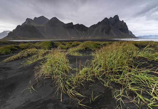 Glacier Lagoon, Diamond Beach & Stokksnes - Shore Excursion — photo 9