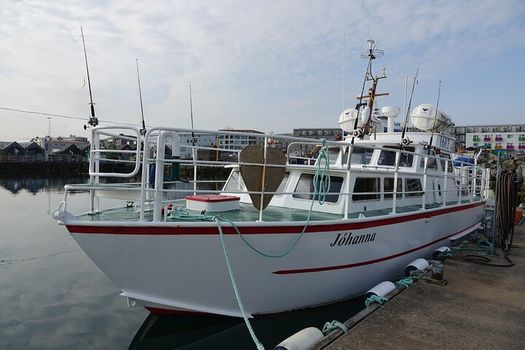 Reykjavik's Finest Catch: Guided Sea Angling Tour for All Levels — photo 4