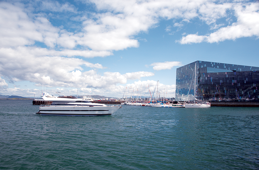 New Year's Eve Yacht Cruise — photo 17