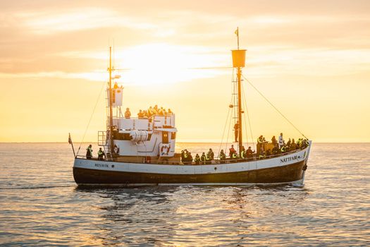Midnight Sun Whale Watching from Húsavík — photo 2