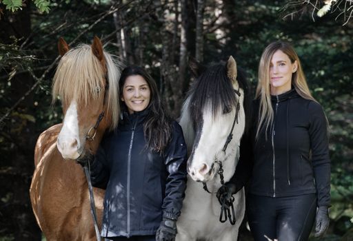 2 Hour Private Horsebackriding - Incredible opportunity to explore the enchanting landscapes while riding on a well-trained Icelandic horses — photo 5