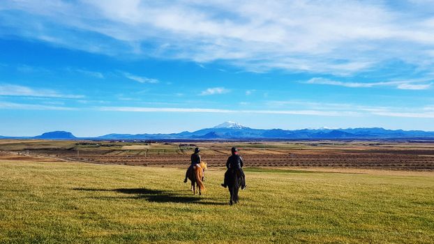 Mountains & Meadows — photo 4