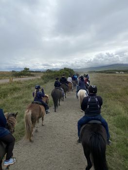 Horse Riding Tour and Explore Scenery in Gásir Akureyri — photo 17