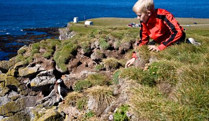 GRAND WEST - Látrabjarg, Rauðasandur & more