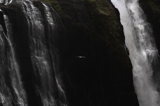 Private Hiking Tour to Glymur Waterfall: Minivan Transfer — photo 5