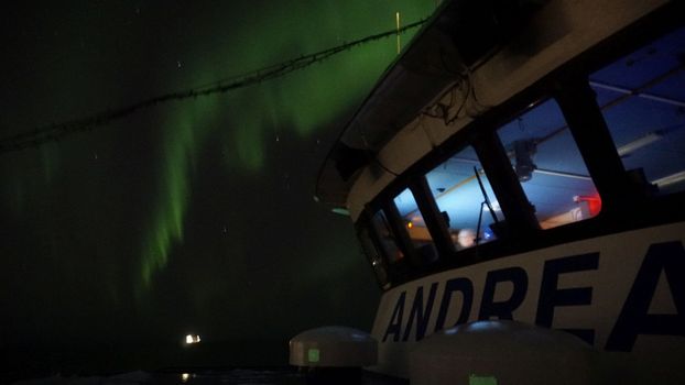Northern Lights by Boat — photo 10
