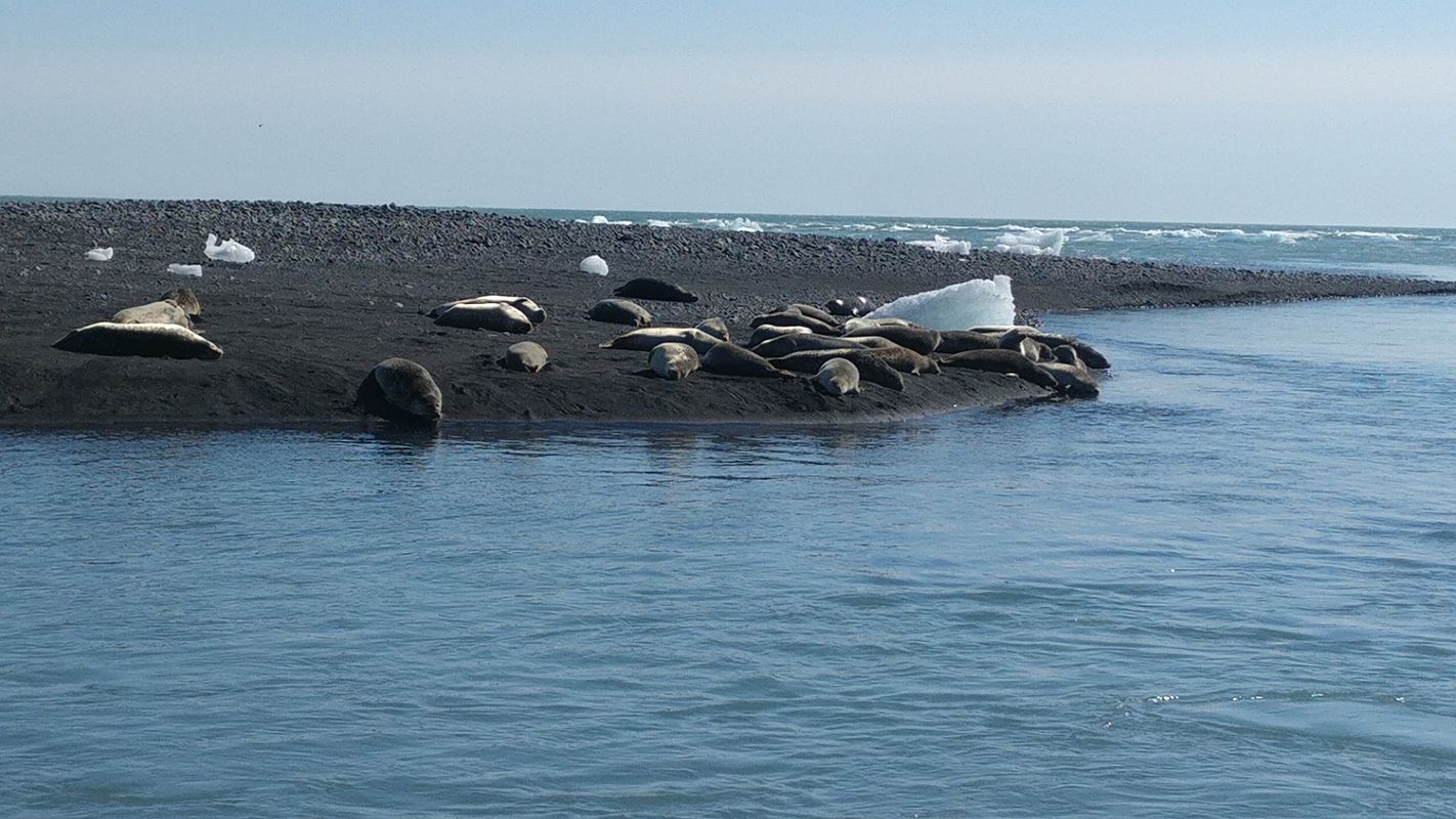 Jökulsárlón Glacier Lagoon — private tour from Reykjavík., photo 2 of 4