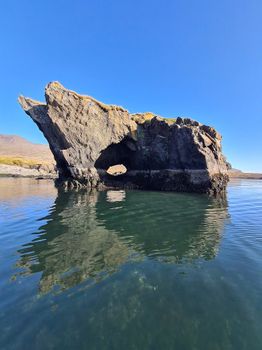 Exploring Djúpivogur - Nature and wildlife — photo 13