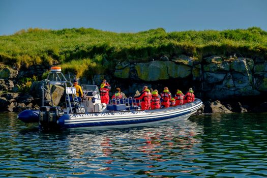 Premium Puffin Tour — photo 2