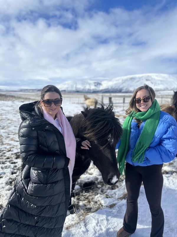 Golden Circle Private Tour with Secret Lagoon from Reykjavik, photo 4 of 27