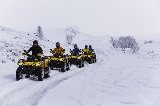 ATV & Whale Watching — photo 8