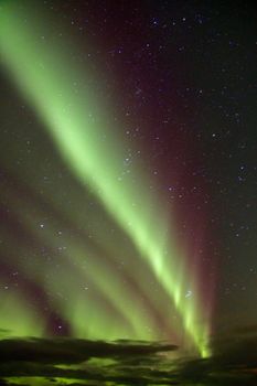 Northern Lights Hunt - Guided in Italian — photo 2