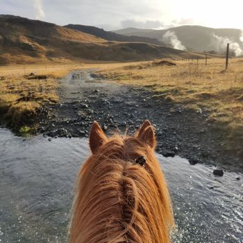 03C - Horses and Hot Springs — photo 9