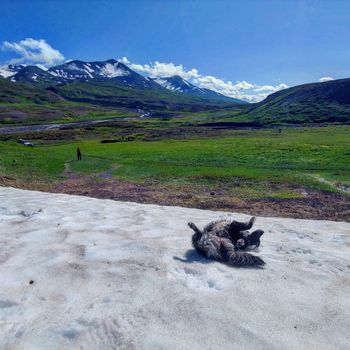 Landmannalaugar & Hekla Volcano Private Adventure — photo 5