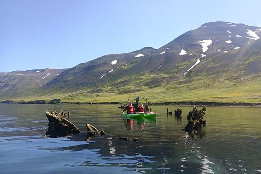 Guided kayak tour in Siglufjörður / Siglufjordur. — photo 11