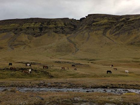 Day Hike to Grimannsfell: Helgufoss Waterfall and the Literary Legacy — photo 2