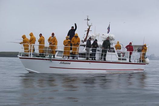 Reykjavik's Finest Catch: Guided Sea Angling Tour for All Levels — photo 14
