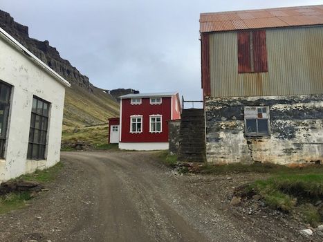 Strandir Adventure Private Tour — photo 2