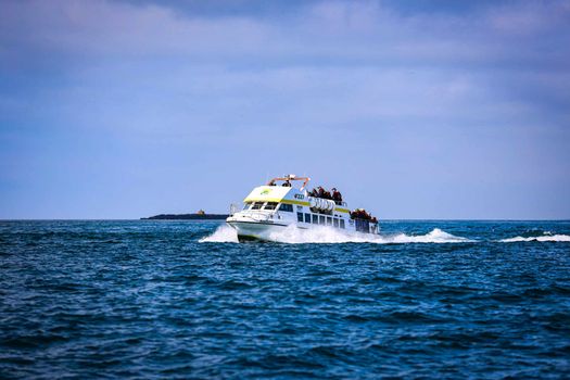 Puffin, island, and volcano boat tour — photo 5