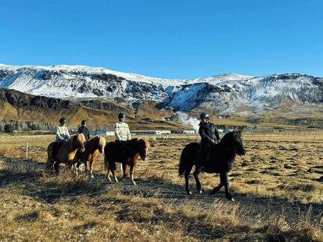 1 Hour Private Horseback Riding - Join us for an unforgettable adventure, where you can connect with these magnificent animals.