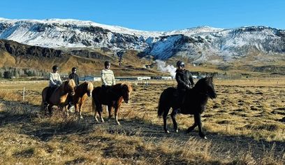 1 Hour Private Horseback Riding - Join us for an unforgettable adventure, where you can connect with these magnificent animals.