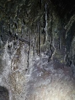 Lava Tunnel & Caving - Private Eco Tour — photo 4