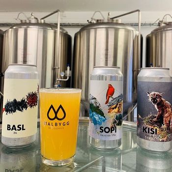 The Private Reykjavik Brewery & Beer Tasting Tour — photo 4