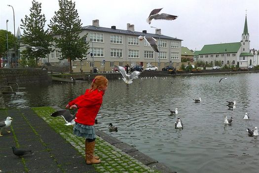 PRIVATE Reykjavik Food Tour and City Walk — photo 4