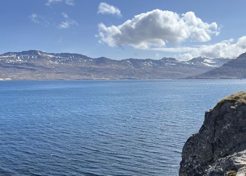 Nature Tour by RIB Boat - from Neskaupstaður- includes Páskahellir, Nípan, Rauðubjörg & Hellisfjörður — photo 7