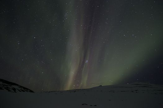 Private Northern Lights Tour — photo 9