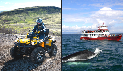 ATV & Whale Watching