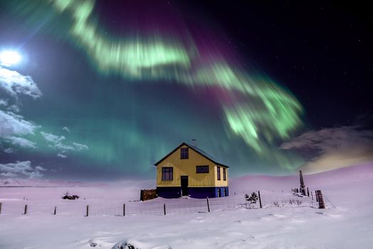 Northern Lights Small Group Tour with Hot Cocoa & Free Photos — photo 3