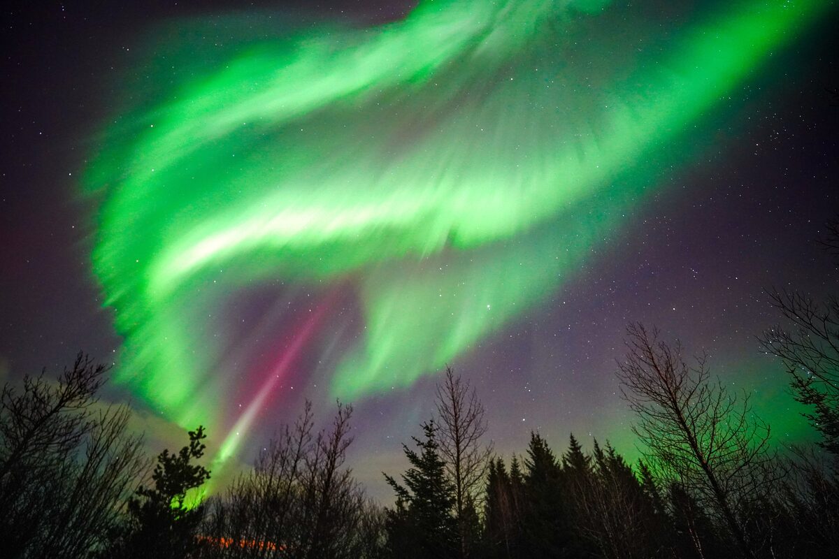 Aurora hunt with campfire, thermal suits & marshmallows — photo 8