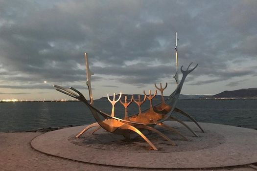 PRIVATE Reykjavík Sightseeing & Blue Lagoon (Premium Entrance) — photo 2