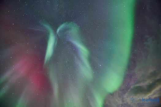 Private Northern Lights — photo 5