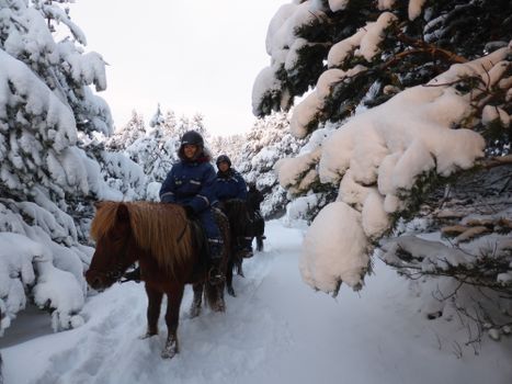 03C - Horses and Hot Springs — photo 3