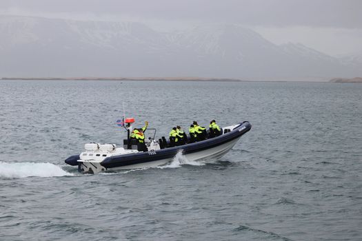 RIB Express - Whale Whatching- from Downtown Reykjavik — photo 2