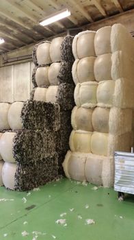 Icelandic Wool Yarn Factory Tour — photo 18